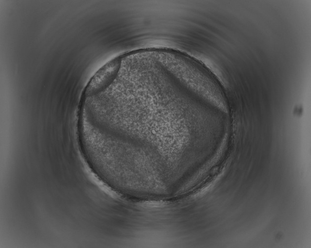 X0000092221134200710051152