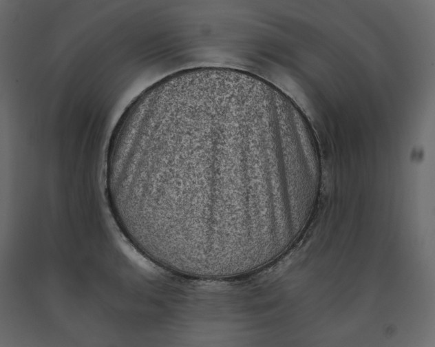 X0000092221136200710051152