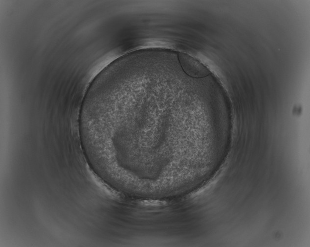 X0000092221137200710051153