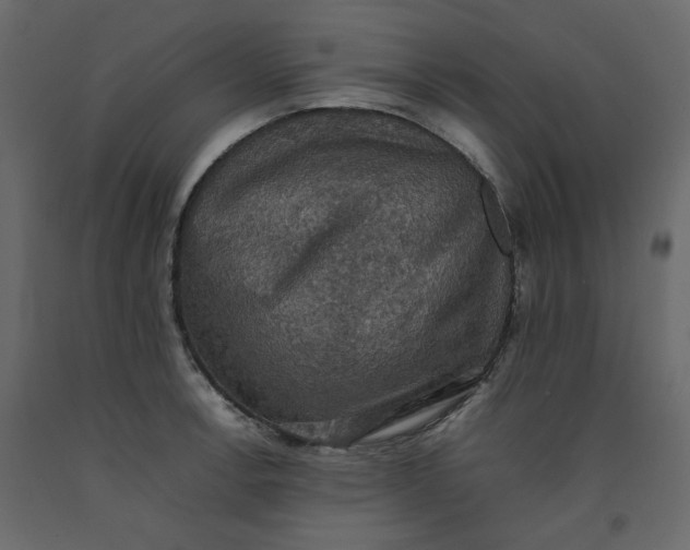 X0000092221138200710051153