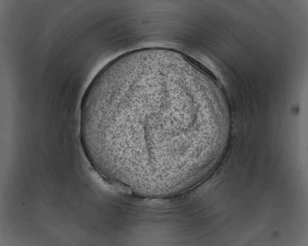 X0000092221140200710051153