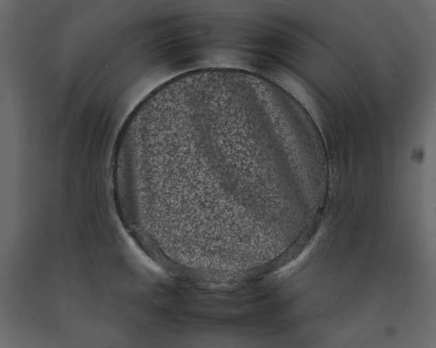 X0000092221141200710051153