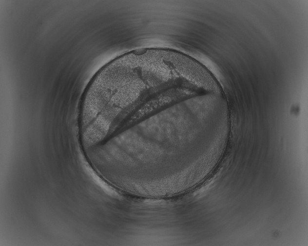 X0000092221142200710051153