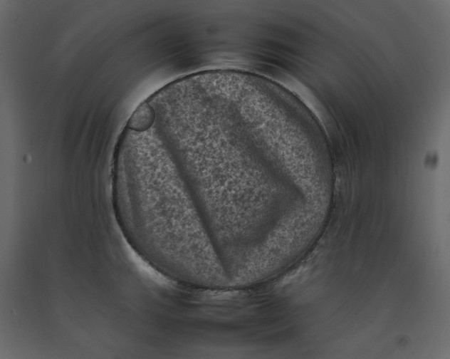 X0000092221143200710051153