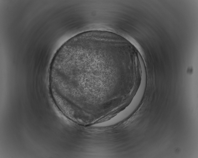 X0000092221144200710051153