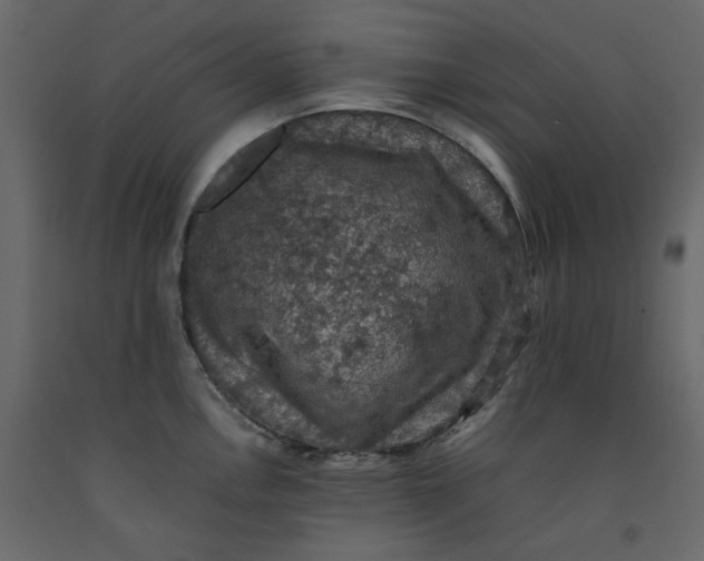 X0000092221146200710051153
