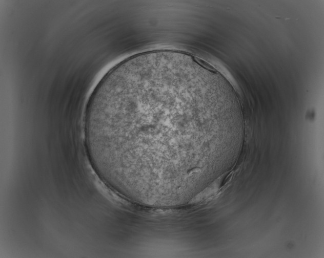 X0000092221148200710051153