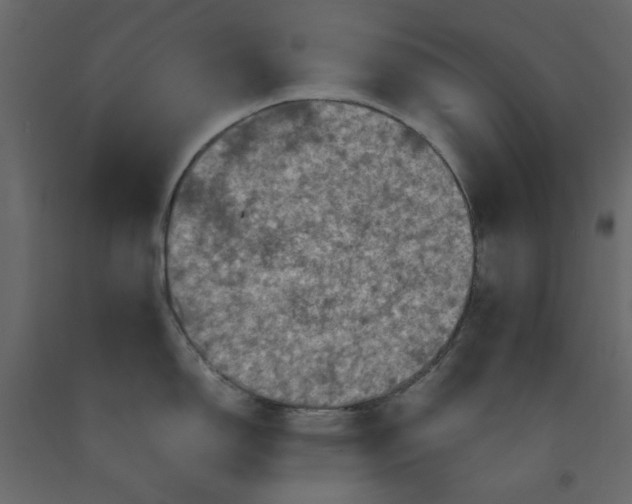 X0000092221150200710051153