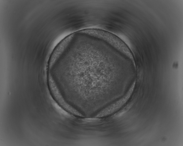 X0000092221151200710051153