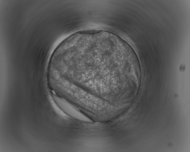 X0000092221152200710051153