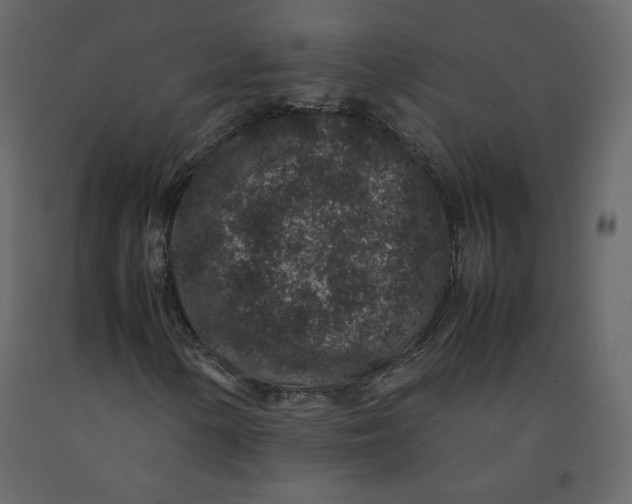 X0000092221154200710051152