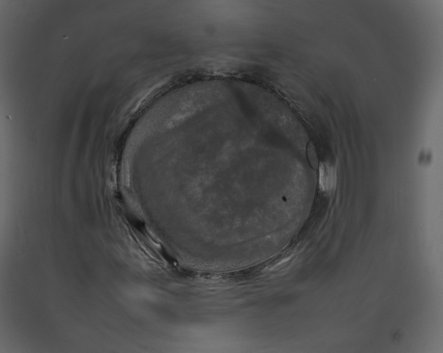 X0000092221155200710051152