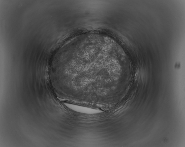 X0000092221156200710051152