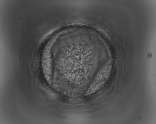 X0000092221159200710051152