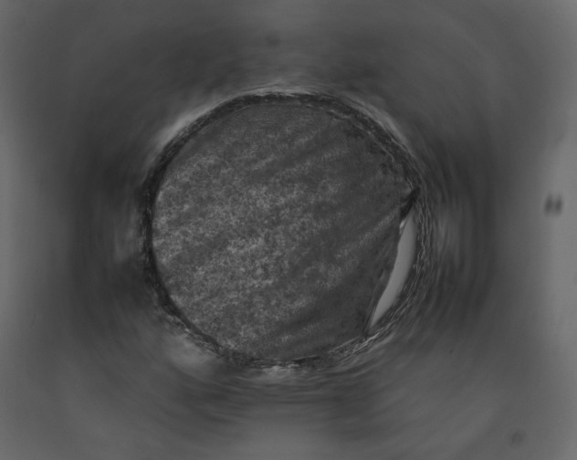 X0000092221160200710051152