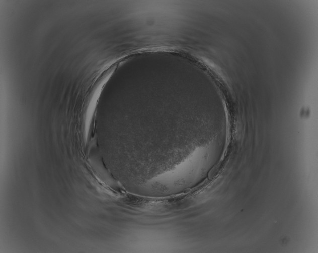 X0000092221161200710051152