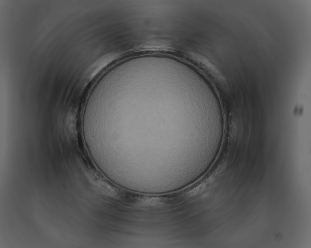 X0000092221162200710051152