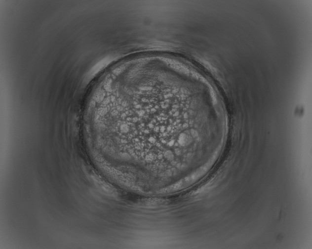 X0000092221163200710051152