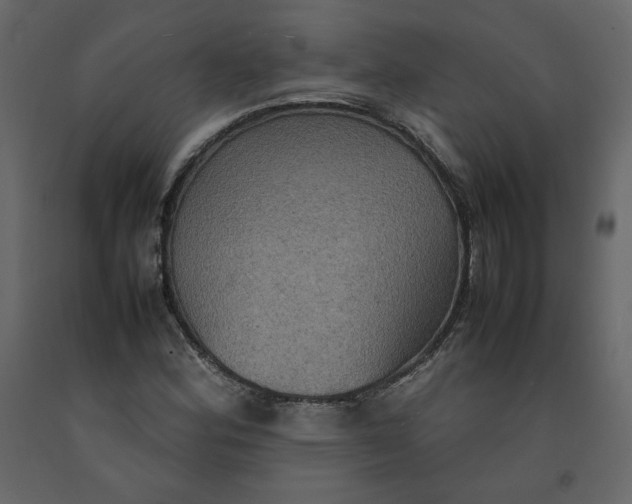 X0000092221164200710051152