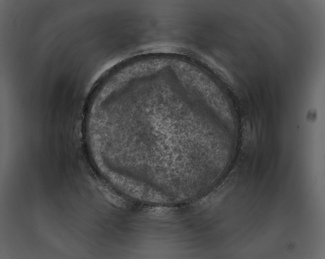 X0000092221166200710051152