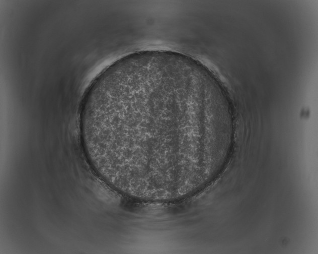 X0000092221167200710051152