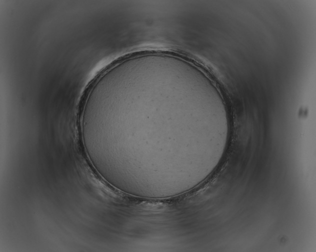 X0000092221168200710051152