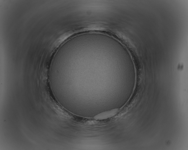 X0000092221169200710051152
