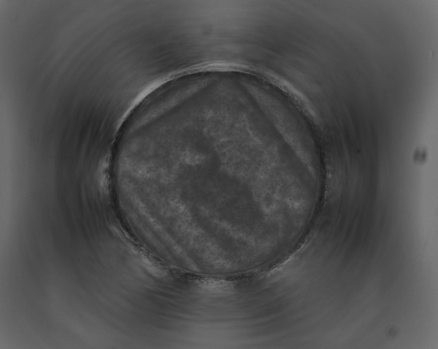 X0000092221170200710051152