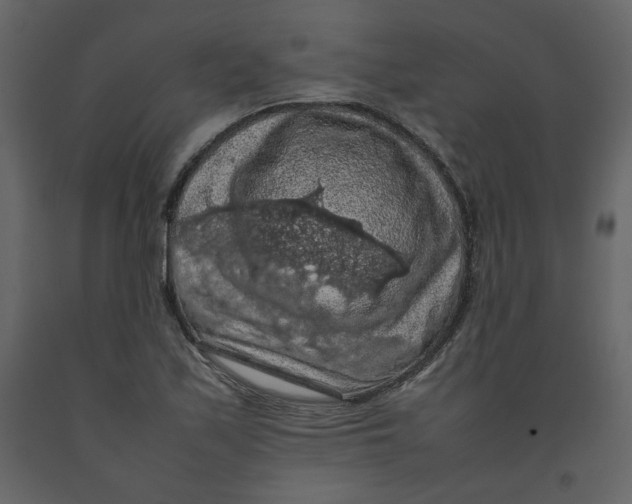 X0000092221171200710051152
