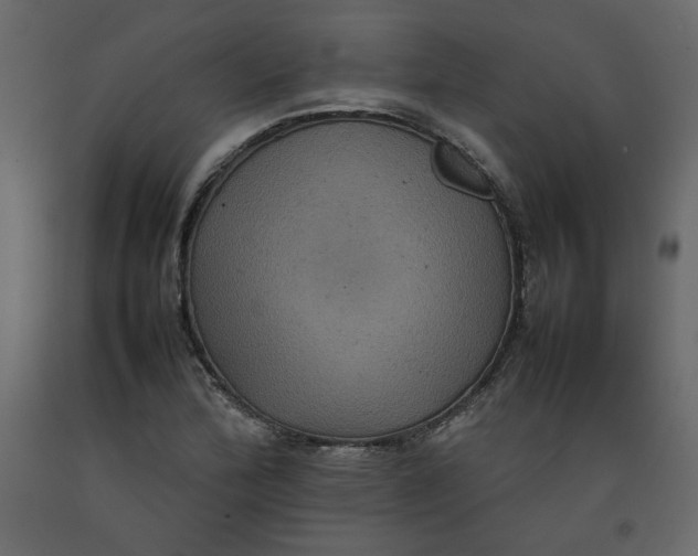 X0000092221172200710051152