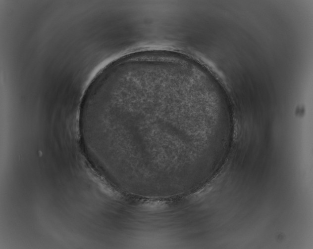 X0000092221174200710051152