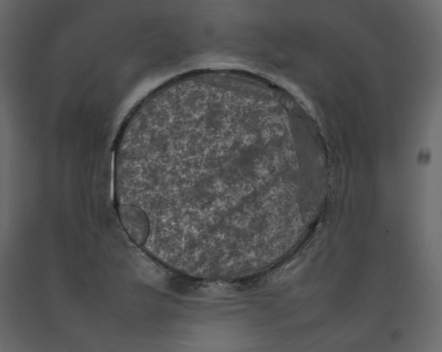 X0000092221175200710051152