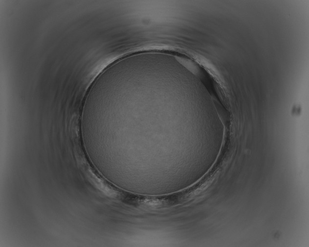 X0000092221177200710051152
