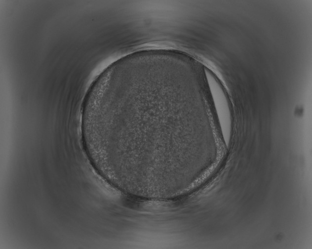 X0000092221179200710051152