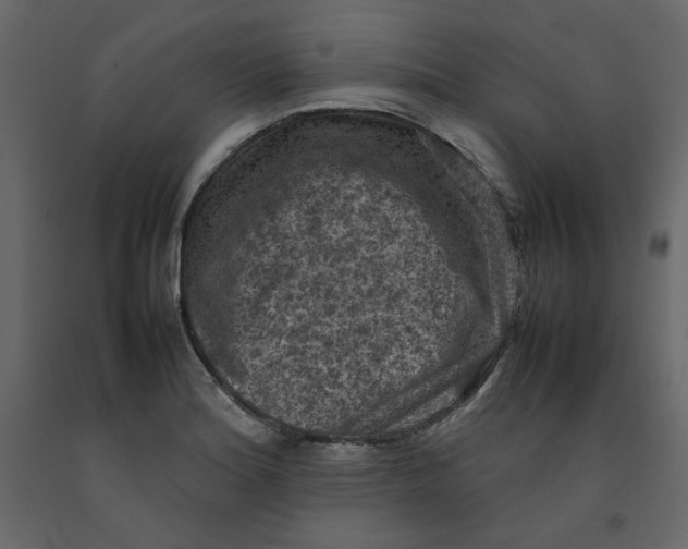 X0000092221180200710051152
