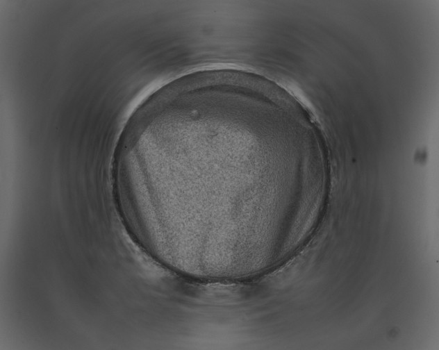 X0000092221181200710051152