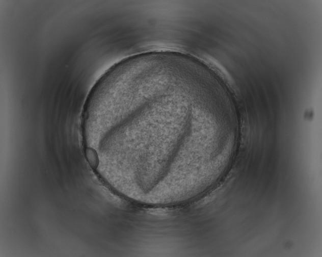 X0000092221182200710051152