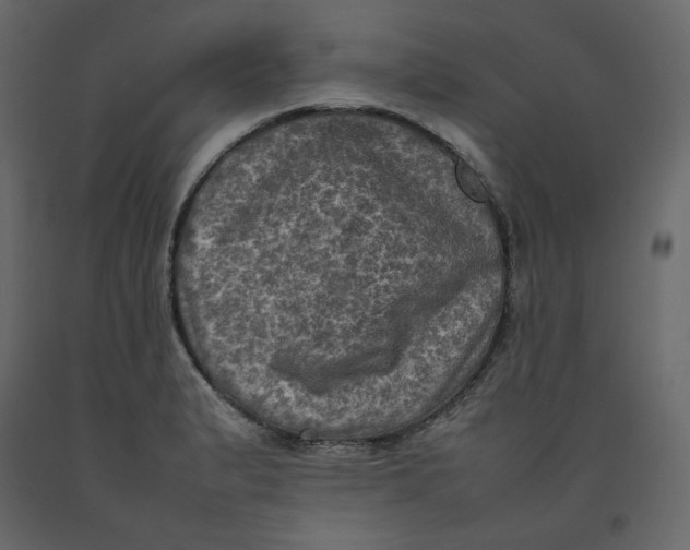 X0000092221183200710051152