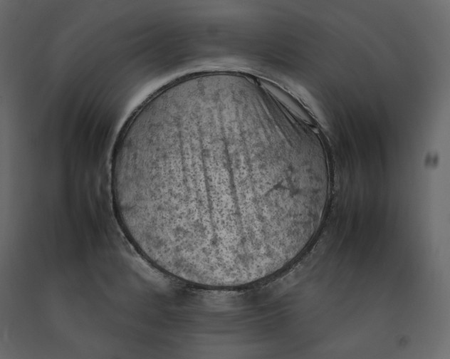 X0000092221184200710051152