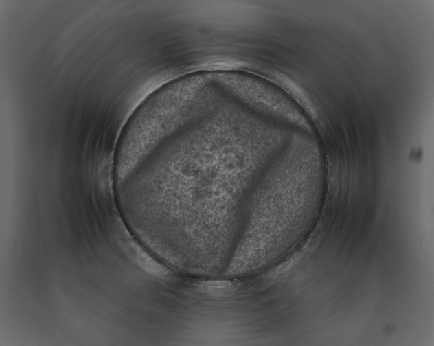 X0000092221186200710051152