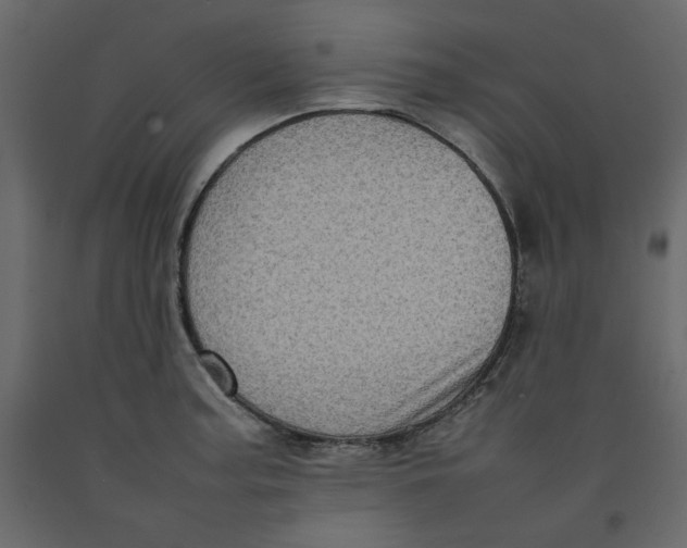 X0000092221187200710051152