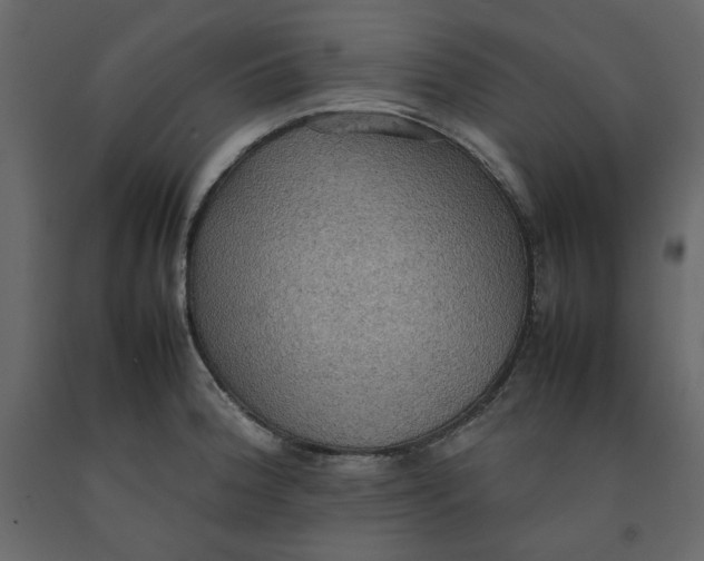 X0000092221188200710051152