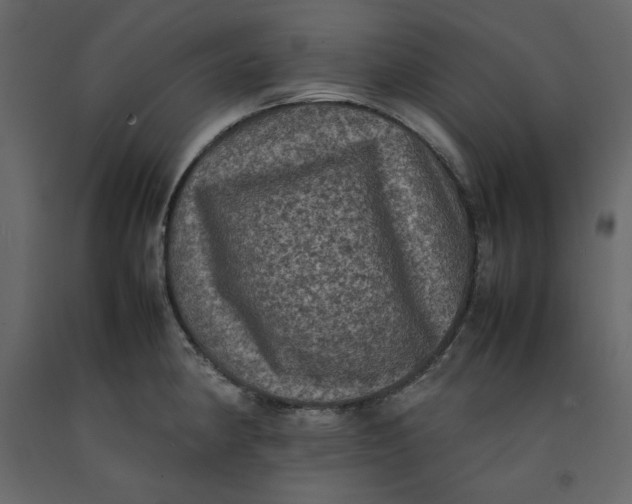 X0000092221190200710051152