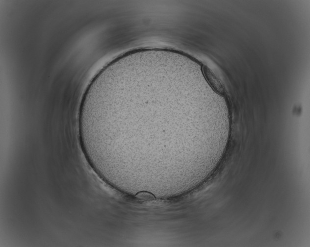 X0000092221191200710051152