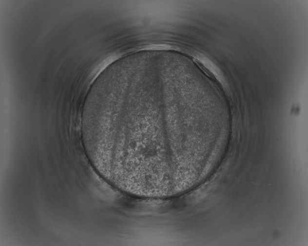 X0000092221193200710051152