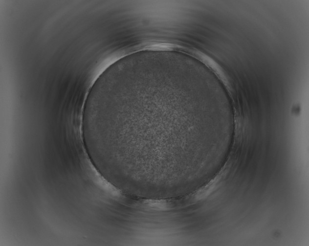 X0000092221194200710051152