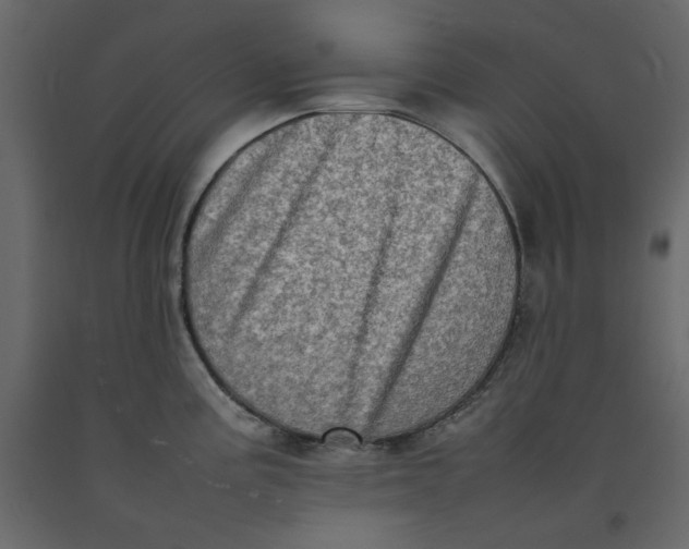 X0000092221195200710051152