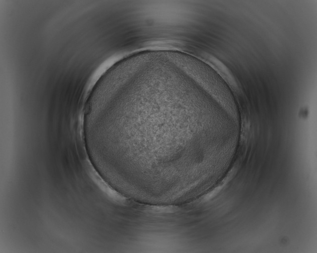 X0000092221196200710051152