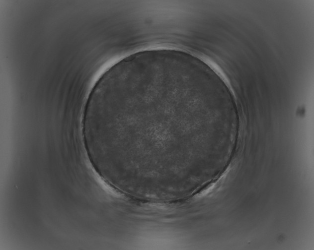 X0000092221197200710051152
