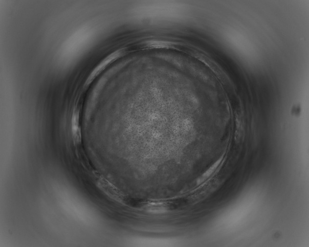 X0000092221198200710051152